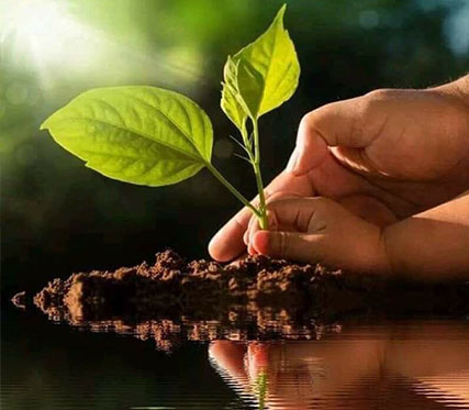 Dra. Angélica Wapenka